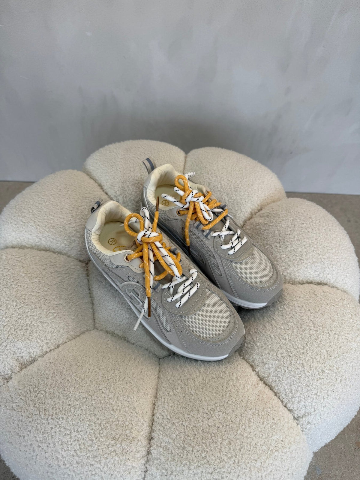 15183 Tenis Grey - ZOÉ BRAND 2026 disponible-35 disponible-36