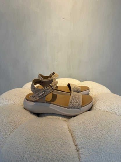 15116 Sandalias Beige - ZOÉ BRAND 2026 beige brillos