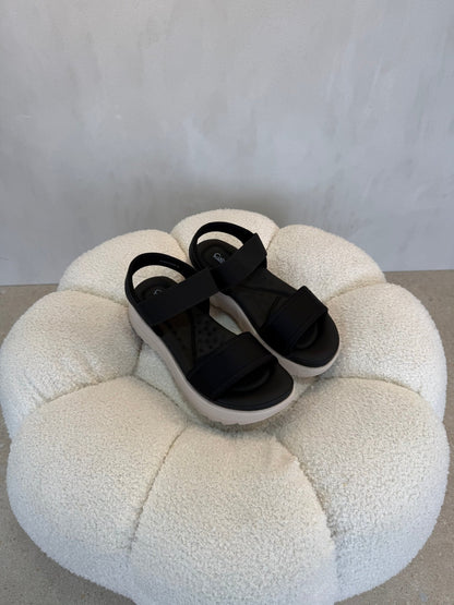 15117 Sandalias Black - ZOÉ BRAND