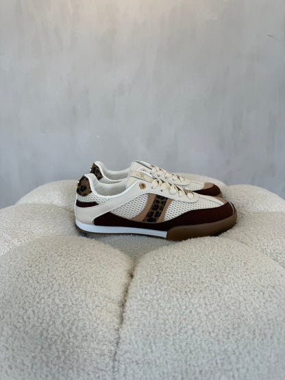 15171 Tenis Beige Brown - ZOÉ BRAND 2026 beige brown