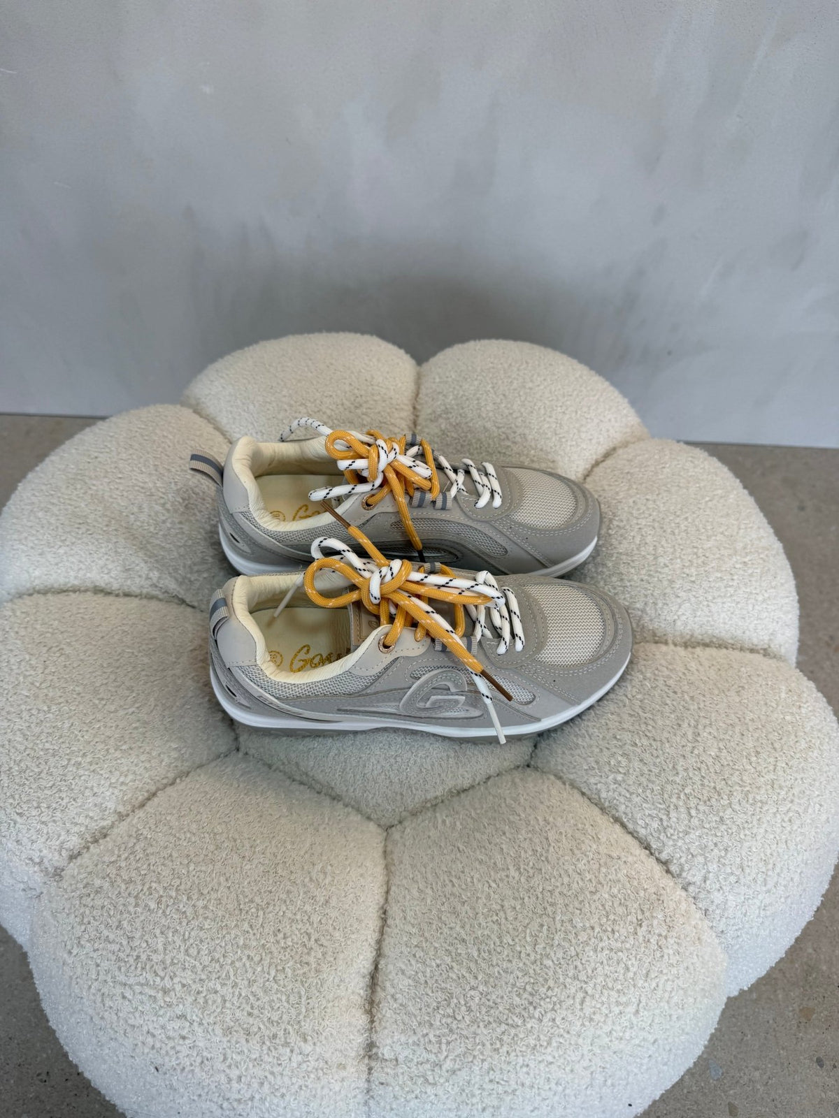 15183 Tenis Grey - ZOÉ BRAND 2026 disponible-35 disponible-36