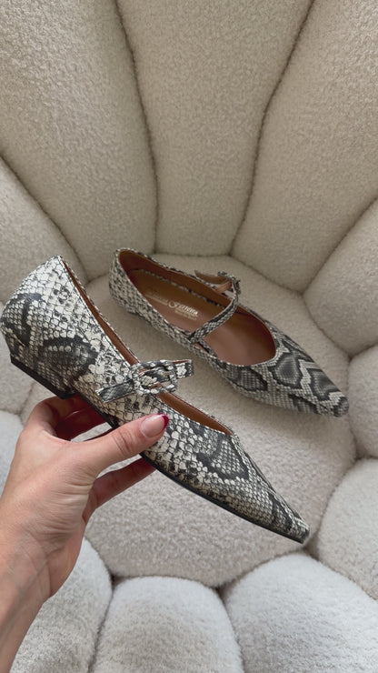Zuecos Gris Animal Print 2063 Mary Jane Hebilla Casual de mujer Zoé Brand Costa Rica