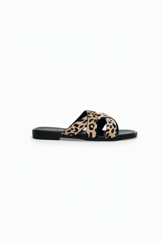 Sandalias Negro Gamuza Animal Print 14415 Slip On Casual | Zoé Brand Costa Rica