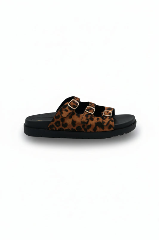 Sandalias Negro Gamuza Animal Print 14422 Triple Correa con Hebillas Zoé Brand Costa Rica
